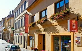 Hotel U Krále